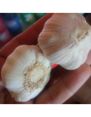 AJO NATURAL X CABEZA