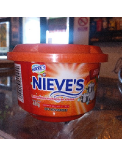 LAVAPLATOS NIEVES 450GR