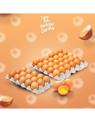 MEDIO CARTÓN DE HUEVOS GRANDES