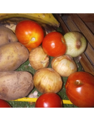 SURTIDO DE VEGETALES SENCILLO